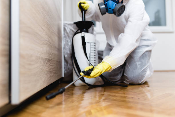 Best Affordable Pest Control Services  in Lake Bryan, TX