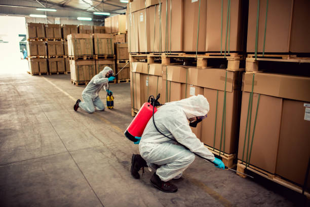 Best Residential Pest Control  in Lake Bryan, TX