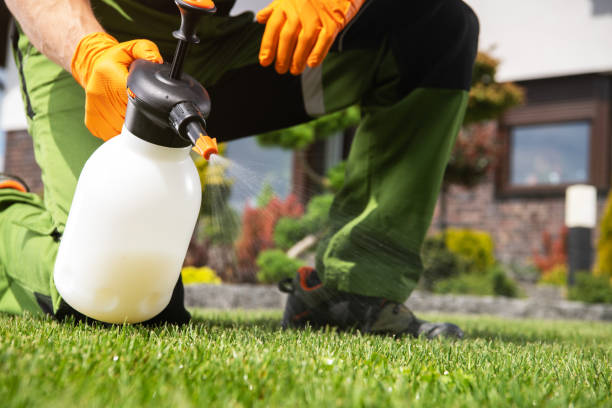 Best Affordable Pest Control Services  in Lake Bryan, TX