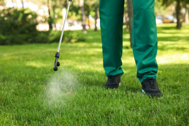 Best Exterminator Services  in Lake Bryan, TX