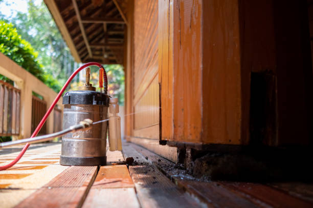 Best Ant Control Services  in Lake Bryan, TX